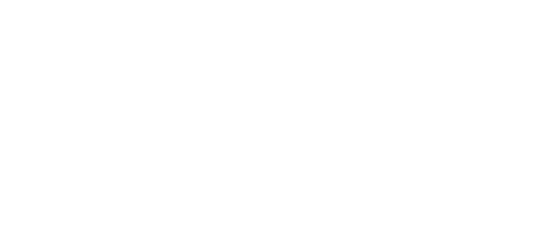 Elephix Build Care